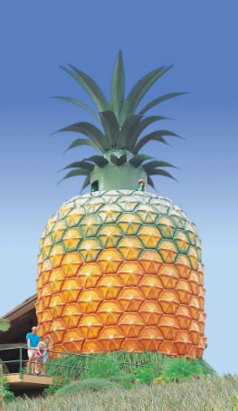 The Big Pineapple - Accommodation Ballina