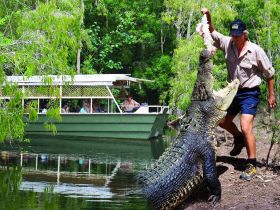 Hartleys Crocodile Adventures - Accommodation Ballina