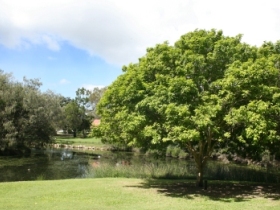Hervey Bay Botanic Gardens - Accommodation Ballina