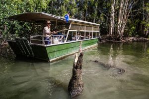 Hartley's Crocodile Adventures Day Trip from Palm Cove - Accommodation Ballina