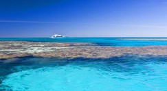 Reef Jet Cruises - Accommodation Ballina
